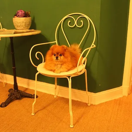 Hotel-maison Am Olivaer Platz Hotel 3*