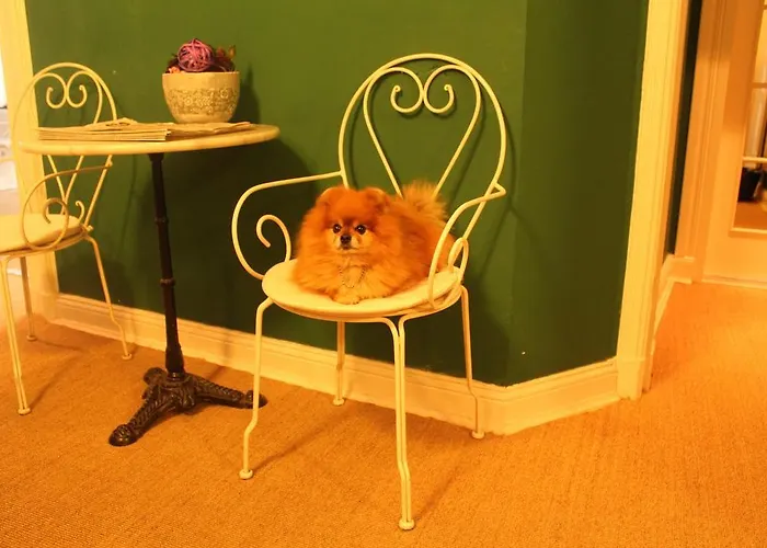 Hotel-maison Am Olivaer Platz Hotel 3*